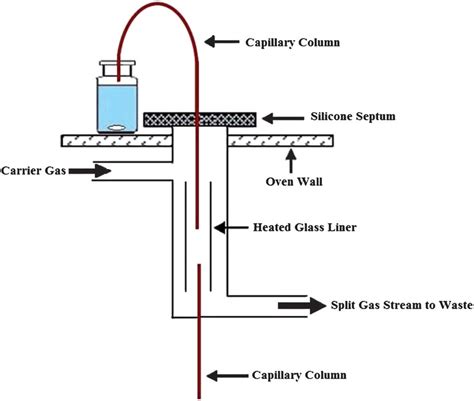 headspace map gas analyzers|gc headspace vs direct injection.